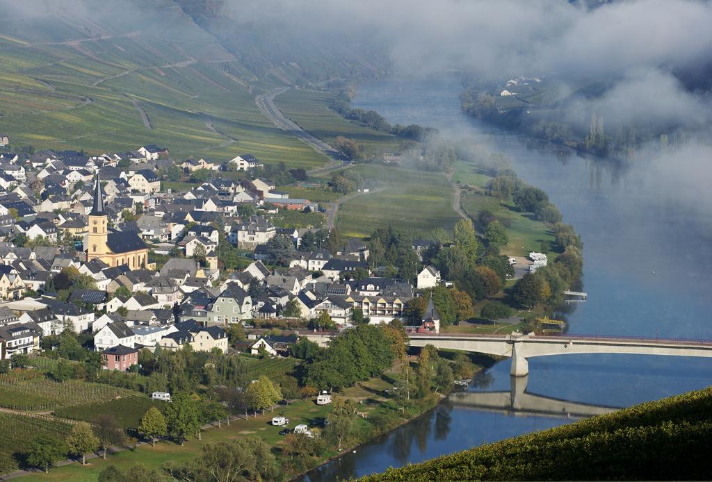 Weingut & Gaestehaus Edwin Hoffmann Тритенхайм Екстериор снимка