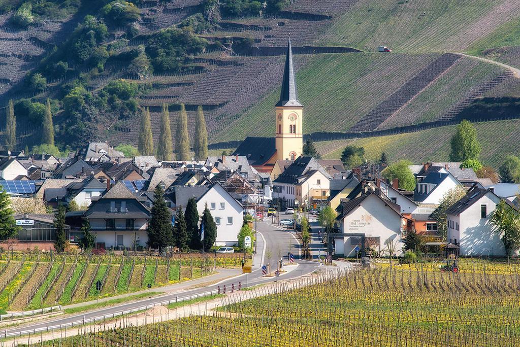 Weingut & Gaestehaus Edwin Hoffmann Тритенхайм Екстериор снимка