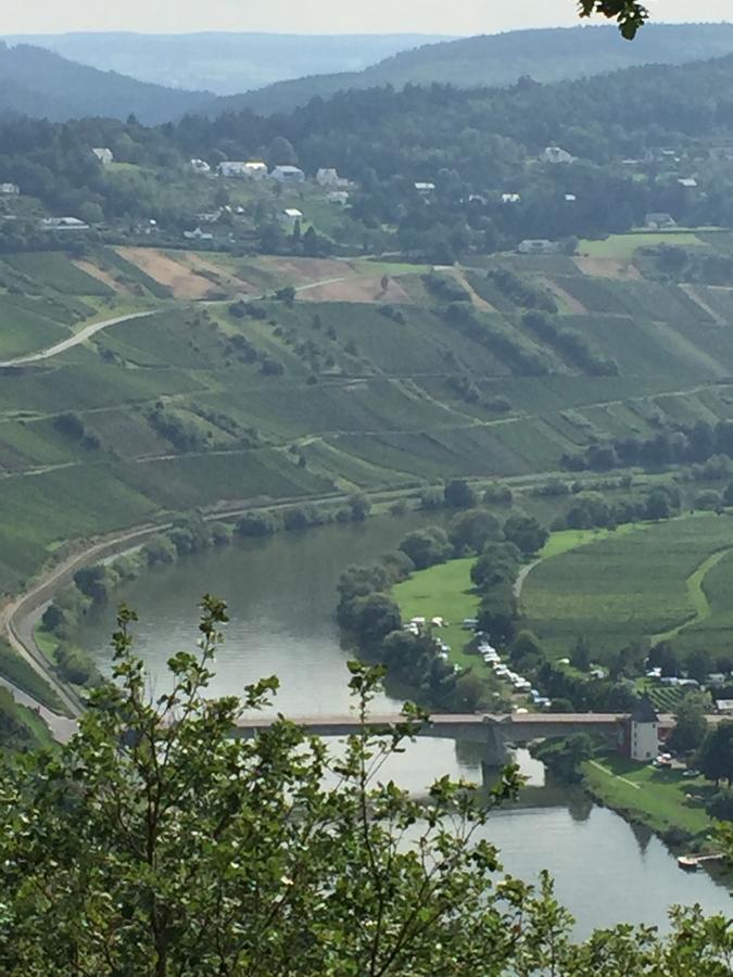 Weingut & Gaestehaus Edwin Hoffmann Тритенхайм Екстериор снимка